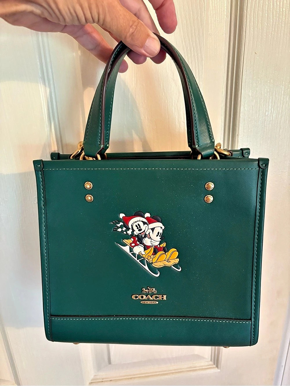 Coach Disney x Coach DSNY LTH DMP TOT 22 Disney Tote in Green NWT